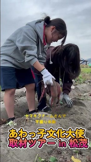 Experience and share the charm of Naruto City and Matsushige Town! ~Through pilgrimage and sweet ...