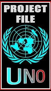 International Organisations | Class 12 Political Science Project File 📚