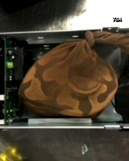 TSA finds python hidden in hard drive, stops real-life 'Snakes on a Plane' moment