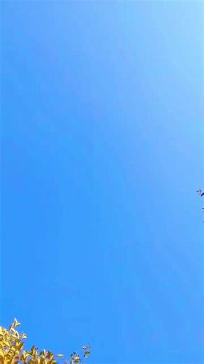 Nikhil Gammer (@nikhilgammer12)’s videos with original sound - 𝑨𝒃𝒅𝒖𝒍𝒍𝒂𝒉 🖤🥂