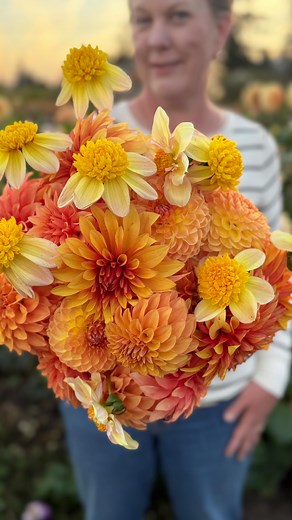 3.4K views · 1.6K reactions | Bloomquist Fascinating is a fabulously...