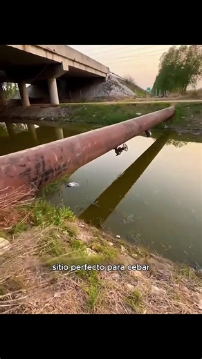 #angler #naturalea #fishing #fyp #riverfishing | Fishing Videos