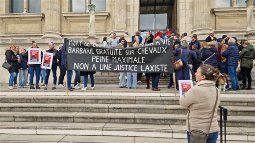 Procès des « chevaux mutilés » : menaces de mort, manif devant le tribunal… revivez cette journée d’audience