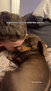 @sebbythesausage on Instagram: "just chatting about their day 😂🫶 #dachshund #minidachshund #sausagedog #wienerdog #doxie #minidachshundpuppy #dachshundpuppy #sausagedogpuppy #doxen #cutestpuppy puppy noises, small puppy, crying puppies, miniature dachshund, cute small puppy, puppy fever, puppy phase, puppies routine, little puppies, cute dachshund videos, puppiesoftiktok, puppy sounds, puppy routine, puppy belly, puppy fever, sebbythesausage, dog parents, seaparation issues, dog crying video"