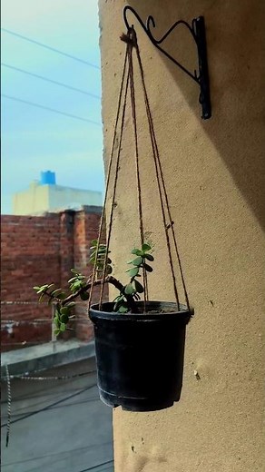 Balcony Makeover 🌿 Hanging Pots Wall Decor + Jade Plant Styling | Small Space Transformation