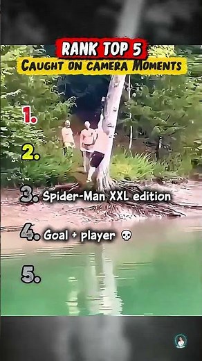 Ranking the Funniest Caught on Camera Moments 😂 | Top 5 Wild Clips