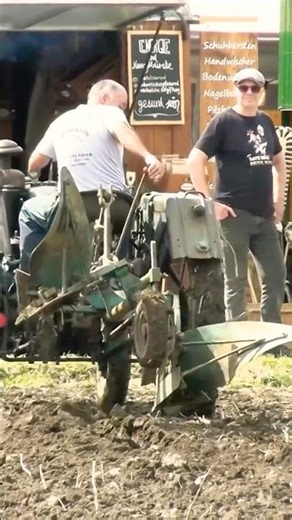 Old Bulldog Manually Handles the Plough!