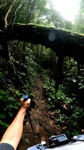 CHẠY HAY LÀ ĐỨNG LẠI NƯỚNG NÓ| POV Mạo Hiểm |