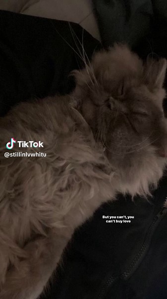 Lirik Lagu 'You Can Buy Everything' dan Terjemahannya