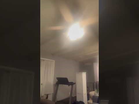 1st #dog shared death physical #evidence ties #UAP #atlas #sun #reptilian #skinny #bob