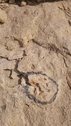 Chixtone on Instagram: "On the way... #instagram #iran #nature #hunting #luxurylifestyle #parkour #meteorite #diamond #athleat"