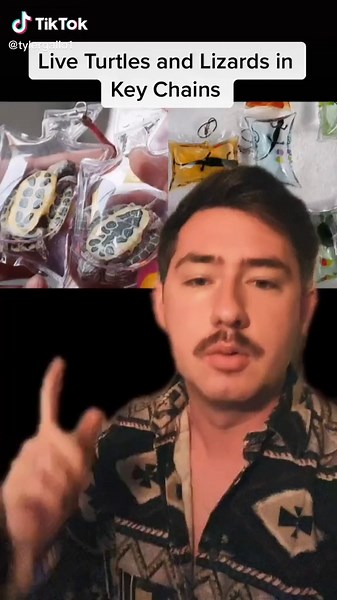 Live Turtle Keychains: A Cruel Practice That Needs to End