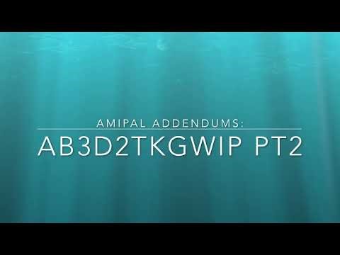 amipal addendums: AB3DIITKGWIP part 2