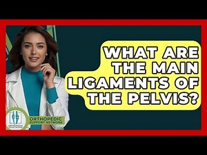 What Are The Main Ligaments Of The Pelvis? - Orthopedic Support Network