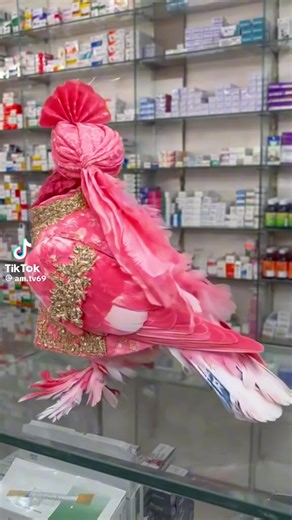 Happy Akter (@happy.akter4421)’s videos with original sound - Happy Akter