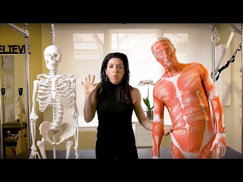 Fascia & chronic pain , A big picture "systemic" approach