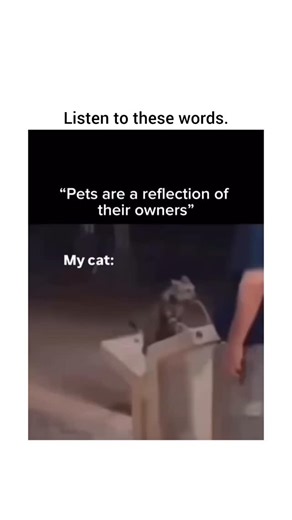 Percy on Instagram: "Get your Amazon gift card in bio 🎁 DM for credit or content removal"