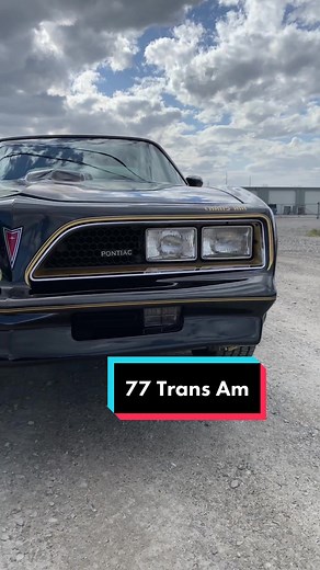 1977 Trans Am SE Edition Full Restoration Project
