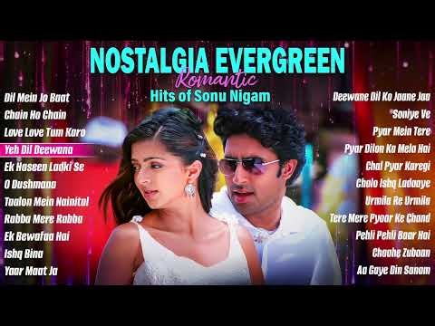 Nostalgia Evergreen Romantic Hits of Sonu Nigam | Audio Jukebox | Best Hindi Love Songs