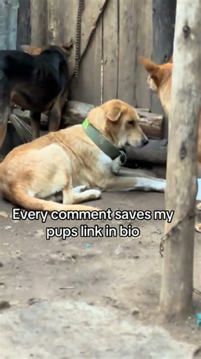 ❤💜🆘️💙💚