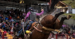 Saddle bronc rider