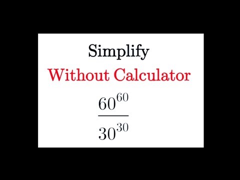 Calculated Cool Cats Live Stream