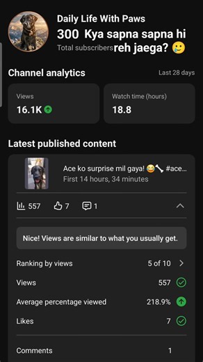 Kya ruk jana chahiye ab #youtubestruggle #acethelab