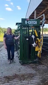 124K views · 374 reactions | "We love the head catch. It keeps them...