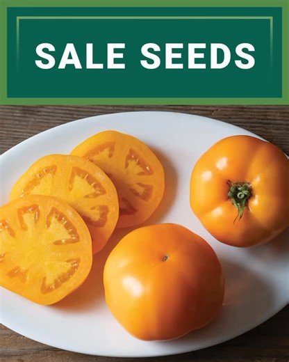 As we refine our product assortment, we become overstocked on some varieties; we just added more products to our sale category! These seed varieties still meet Federal Seed Act germination standards. Be sure to check our sale category frequently as we update it throughout the year. Shop sale at the link in the comments! #johnnyseeds #growwithjohnnys#bloomwithjohnnys | Johnny's Selected Seeds