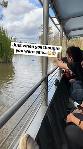 9.9M views · 10K reactions | Alligator tour scare | Land of Laughs | Facebook