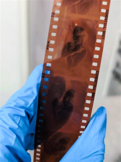 Exploring 35mm Photography at Home