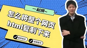 怎么将整个网页html复制下来