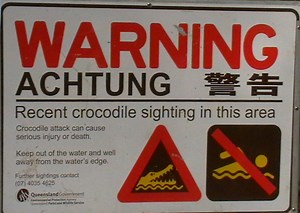 9 Dangerous Marine Creatures of the Great Barrier Reef and How to Stay Safe in the Whitsundays