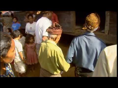 Mystery of the human hobbit: Indonesian Pygmy - the hobbit's descendant? - Explore - BBC