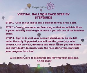 TAKE PART IN OUR VIRTUAL BALLOON RACE The virtual balloons are lining up nicely to head off in this special environmentally friendly and fun race, which starts on the 2nd June. You can name and decorate yours as a gift for you, for a loved one or in memory for someone special. Follow the instructions below and use this link to get yours ready in the virtual sky https://loom.ly/H0CgKok | Hope Rescue