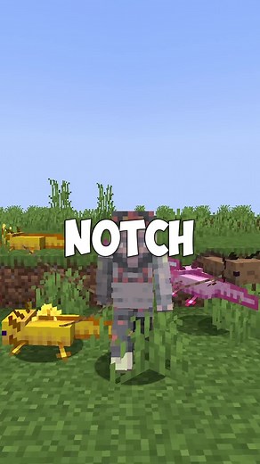 Notch's Scrapped Ideas: The Untold Story | Minecraft Developer Insights