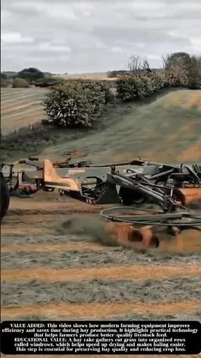 This Agricultural Machine Can Arrange Straw Perfectly! #shorts