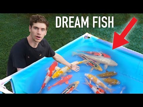 I BOUGHT MY DREAM FISH!!