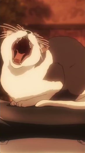 ONE PUNCH MAN / HD QUALITY WITH THE GO TO SAITAMA