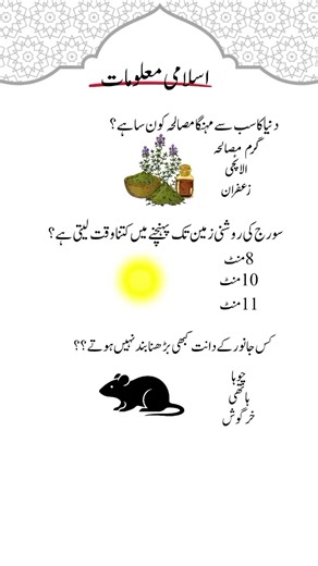 General Knowledge Quiz in Urdu: Test Your Knowledge