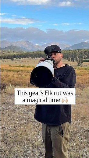 Some HUGE Bull Elk during the rut this year in Yellowstone and Rocky Mountain National Park 💪🏼