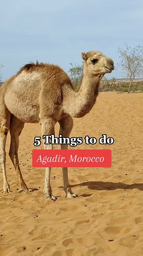 Top 5 Things to Do in Agadir, Morocco