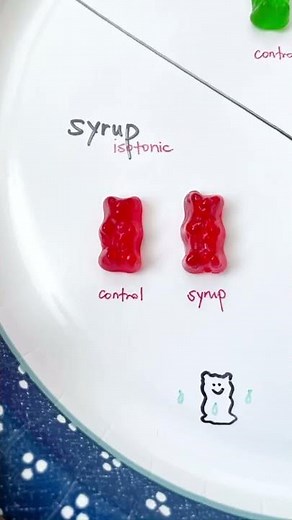 An easy experiment with gummy bears teaching OSMOSIS - the movement of water 💦