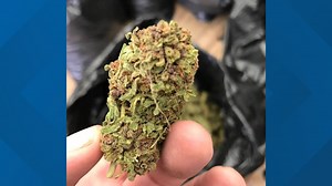 Is it legal? Texas crime labs to begin THC testing to identify hemp vs. marijuana