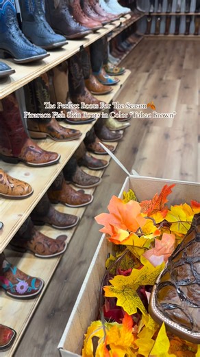 The Perfect Boots For The Season 🍂 💯Pirarucu Fish Skin Boots in Color “Tabac Brown” Sincerely, 👢La Hacienda Boot Co.👢 2429 Telephone Rd. Houston, Texas 77023 ☎️ 713-514-9939 / 📱346-510- 8311 #lahaciendabootco #custommade #handmade #boot #botas #boots | La Hacienda Boot Co.