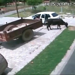 Peligrosa banda de secuestradores en autos desde 2014 pilassss Admin John #tuningcolombia #tunningcolombia | Tuning Colombia