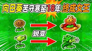 植物大战僵尸杂交版：向日葵苦守寒窑18年，终于成为了向日葵女王！