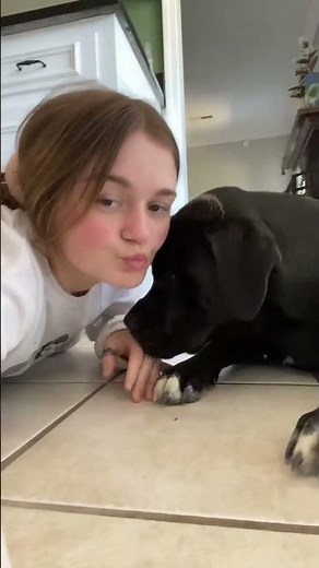 Dog Kisses: Girl Smooches Her Canine Companion#doglover #dogkisses #dogvideo #canine