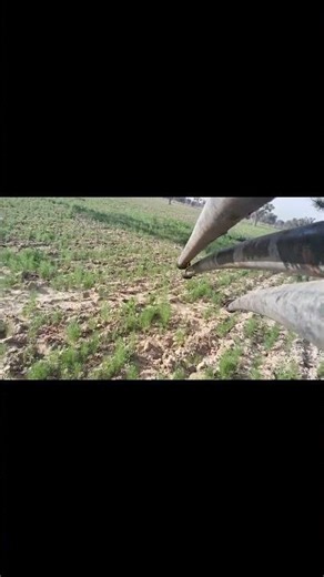 Farmer vlog