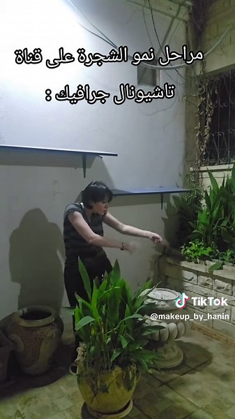 مراحل نمو الشجرة على قناة تاشيونال جرافيك